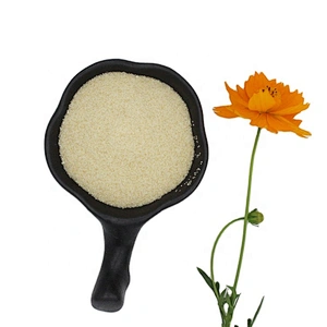 Bovine Gelatin Powder High Quality Gelatin for Sausage