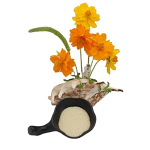 Bovine Gelatin Powder High Quality Gelatin for Sausage