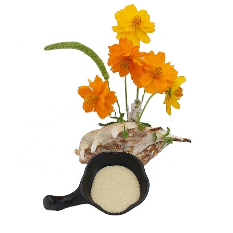 Bovine Gelatin Powder High Quality Gelatin for Sausage